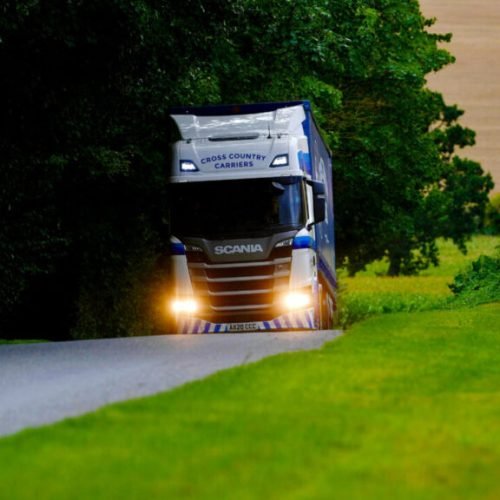 salt-delivery-1024x576